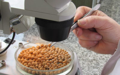 CEPIAS y INASE organizan taller sobre SISA y certificación de semillas